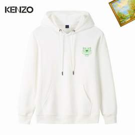 Picture of Kenzo Hoodies _SKUKenzoM-3XL25tn014190